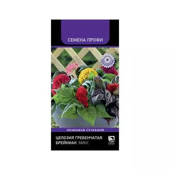 Семена Агрохолдинг ПОИСК 827291