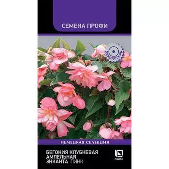 Семена Агрохолдинг ПОИСК 840103