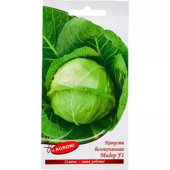 Семена Агрони