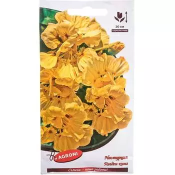 Семена Агрони 5527