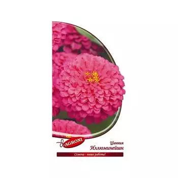 Семена Агрони