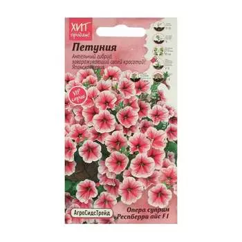 Семена Агросидстрейд АСТ 123287