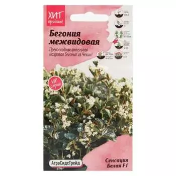 Семена Агросидстрейд АСТ 126379