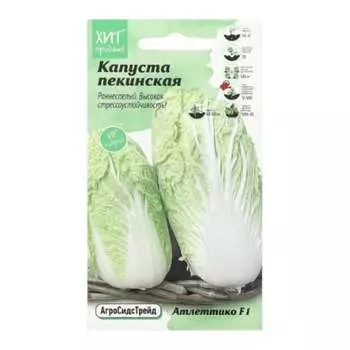 Семена Агросидстрейд АСТ 126396