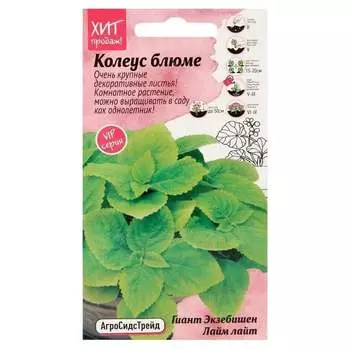 Семена Агросидстрейд АСТ 126404