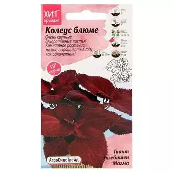 Семена Агросидстрейд АСТ 126405