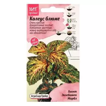 Семена Агросидстрейд АСТ 126406