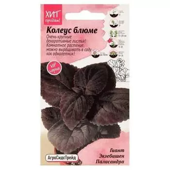 Семена Агросидстрейд АСТ 126407