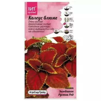 Семена Агросидстрейд АСТ 126408