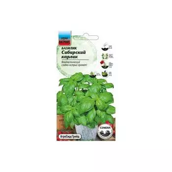 Семена Агросидстрейд ПАТРИОТ 128646