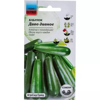 Семена Агросидстрейд ПАТРИОТ 128649