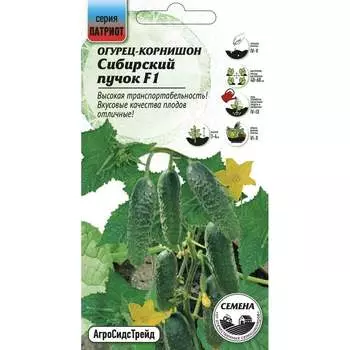 Семена Агросидстрейд ПАТРИОТ 128664