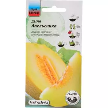 Семена Агросидстрейд ПАТРИОТ 129123