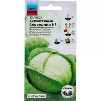 Семена Агросидстрейд ПАТРИОТ 129132