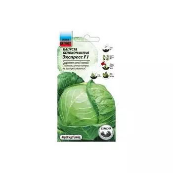 Семена Агросидстрейд ПАТРИОТ 129133