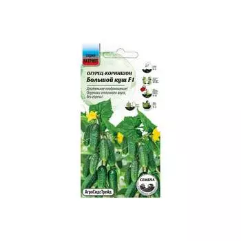 Семена Агросидстрейд ПАТРИОТ 129144