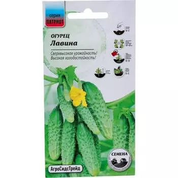 Семена Агросидстрейд ПАТРИОТ 129152