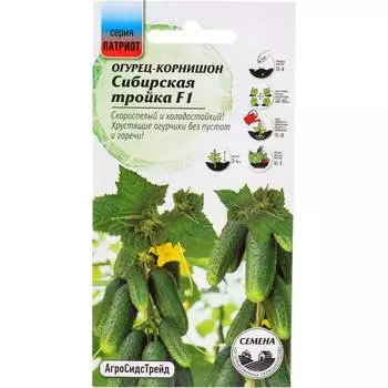 Семена Агросидстрейд ПАТРИОТ 129164