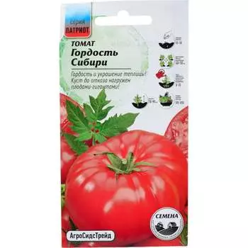 Семена Агросидстрейд ПАТРИОТ 129183