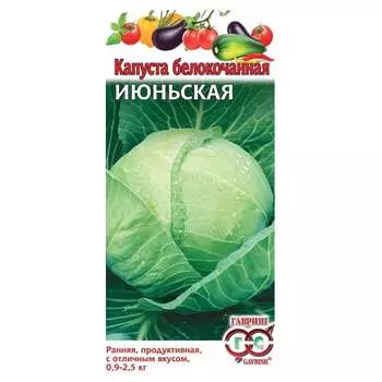 Семена ГАВРИШ 000251