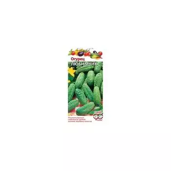 Семена ГАВРИШ 004930