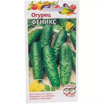 Семена ГАВРИШ 004934