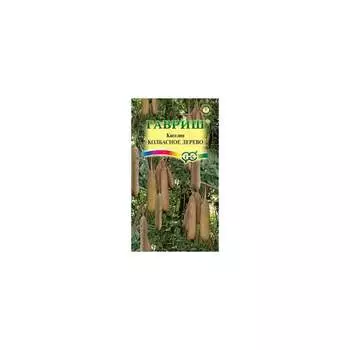 Семена ГАВРИШ 004967