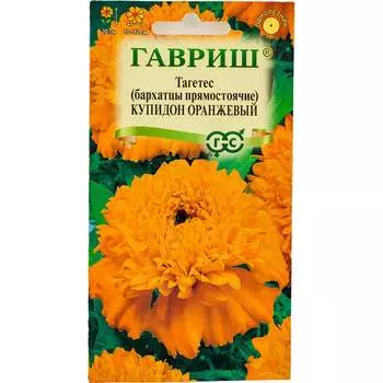 Семена ГАВРИШ 005544