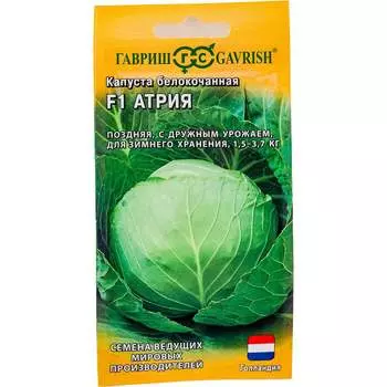 Семена ГАВРИШ 005744