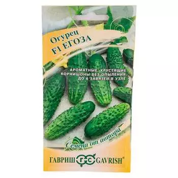 Семена ГАВРИШ 10003764