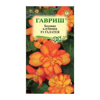 Семена ГАВРИШ 10003874