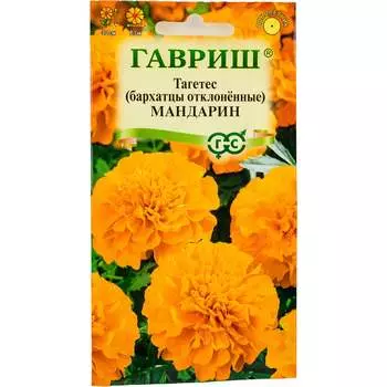 Семена ГАВРИШ 10006569