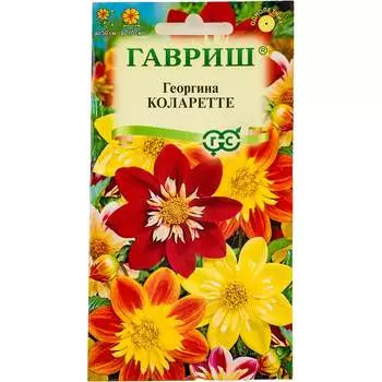 Семена ГАВРИШ 10006622