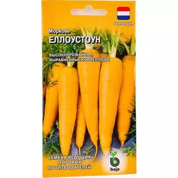 Семена ГАВРИШ 1026994881