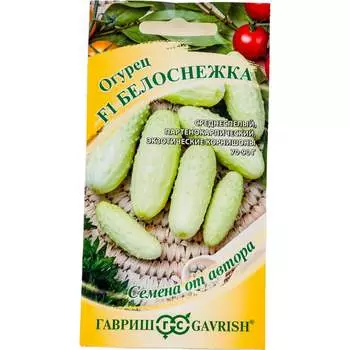 Семена ГАВРИШ 1026995189