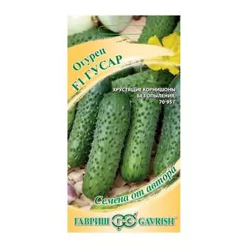 Семена ГАВРИШ 1026995380