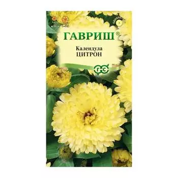 Семена ГАВРИШ 1026995787