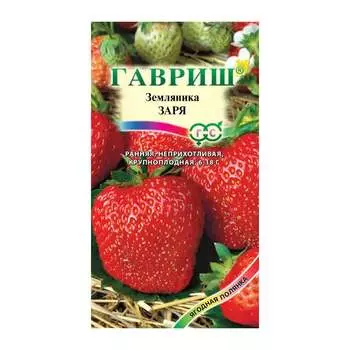 Семена ГАВРИШ 1070008704