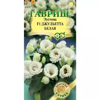 Семена ГАВРИШ 10711477