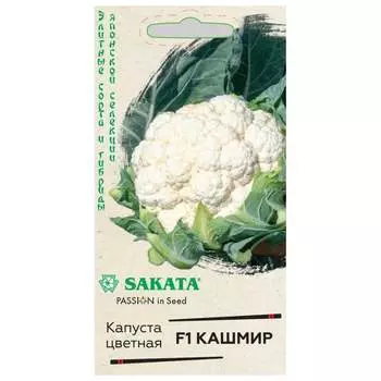 Семена ГАВРИШ 10718214