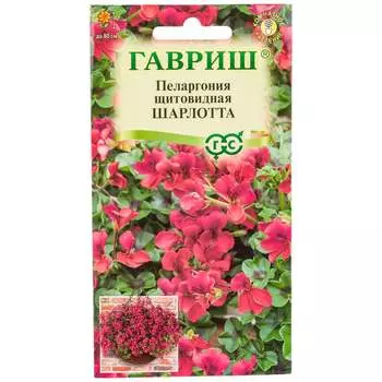 Семена ГАВРИШ 107185021