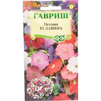 Семена ГАВРИШ 1071856205