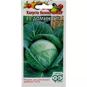 Семена ГАВРИШ 1071856471