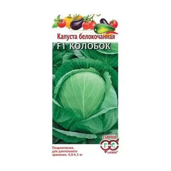 Семена ГАВРИШ 1071856478