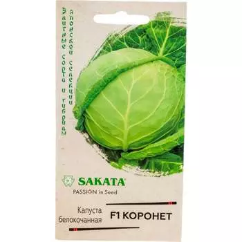 Семена ГАВРИШ 1071856482