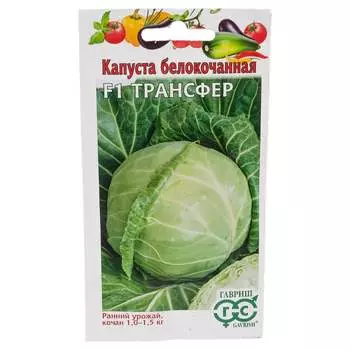 Семена ГАВРИШ 1071856503