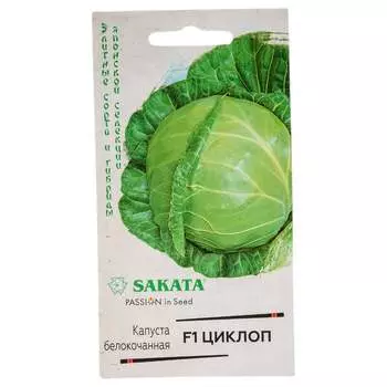 Семена ГАВРИШ 1071856511