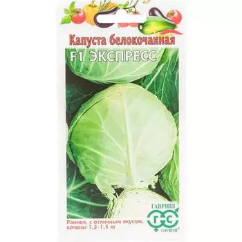 Семена ГАВРИШ 1071856514