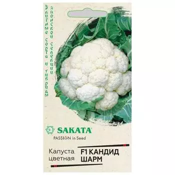 Семена ГАВРИШ 1071856540