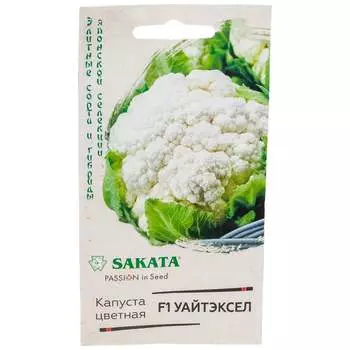 Семена ГАВРИШ 1071856541